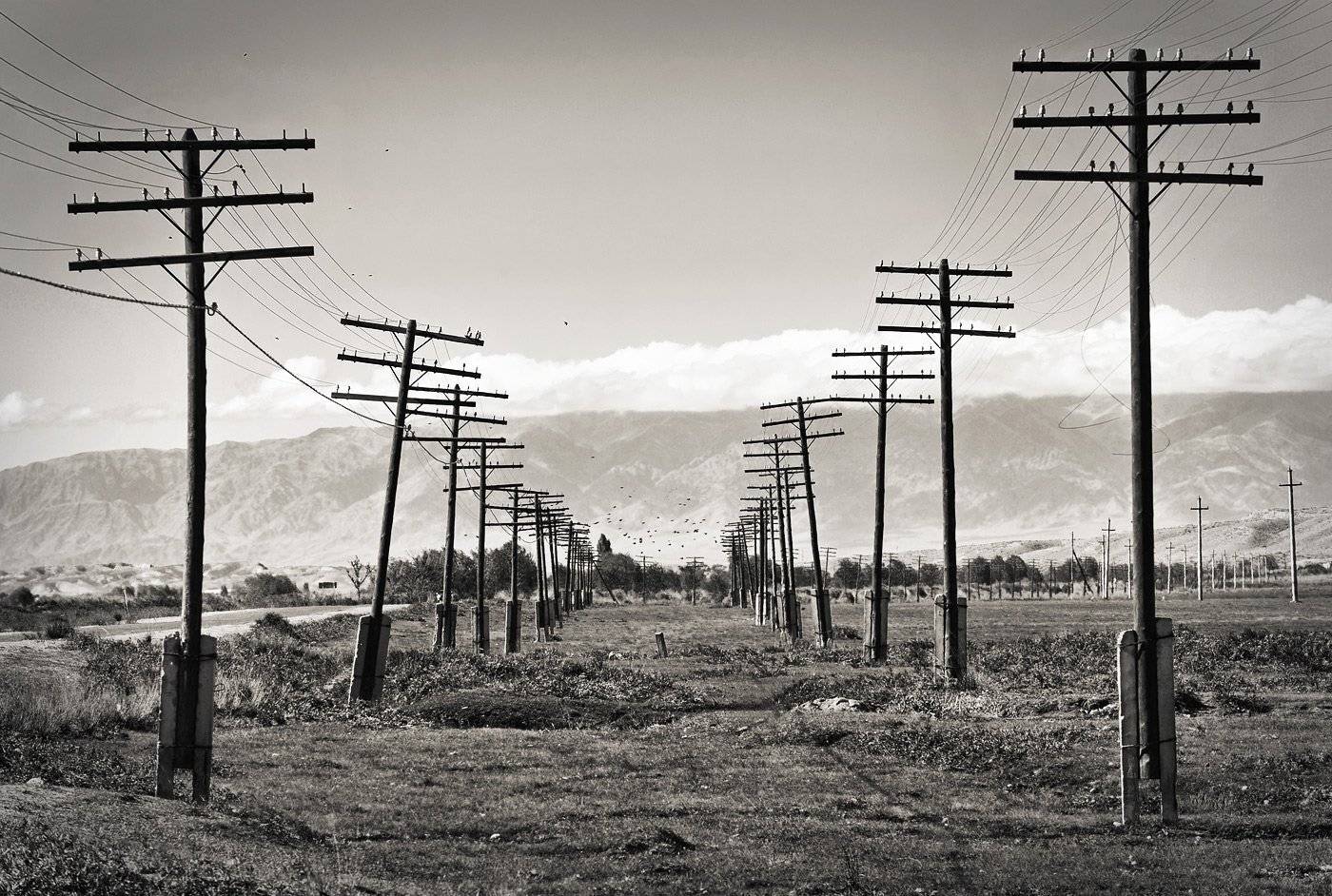 , Борис Пирог