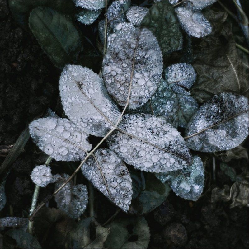 Блеск и сияние фото превью