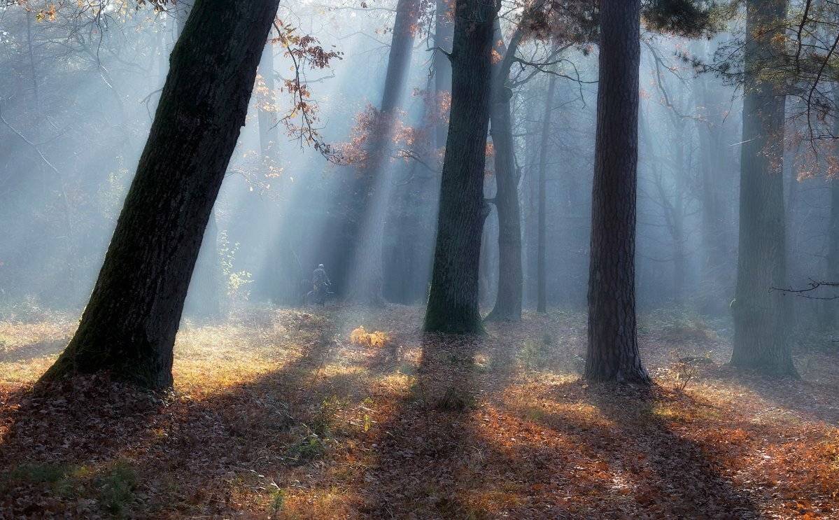 , Александр Маковский