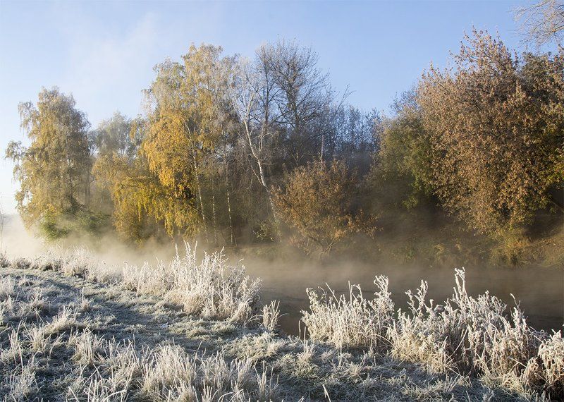 иней, природа, россия, река, пехорка, утро, солнце, мороз, осень, октябрь, березы, По деревьям серебристая перекинулась фата фото превью