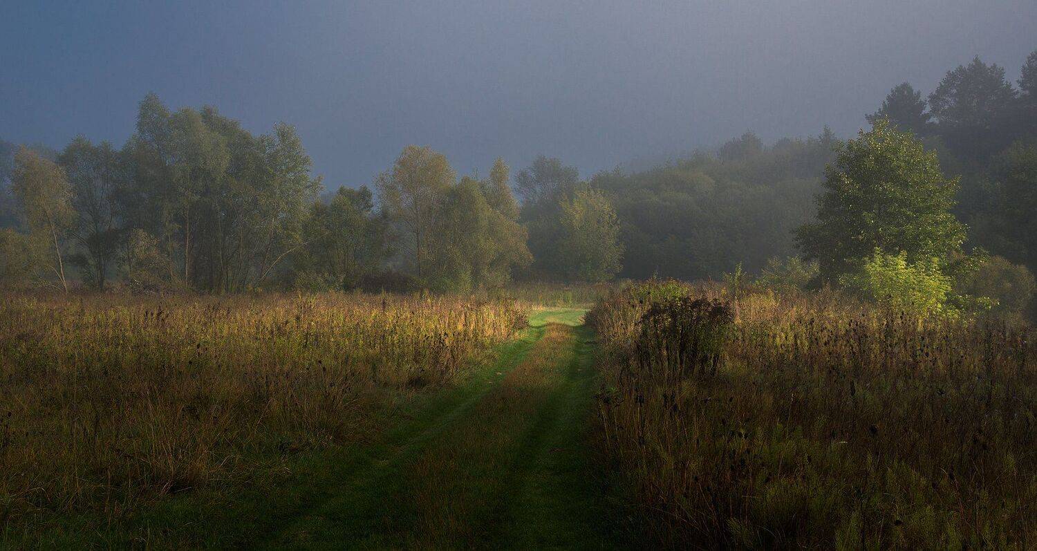 , Николай Шахманцир