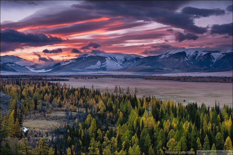 Altai, Алтай ~ Курайское золото ~ фото превью