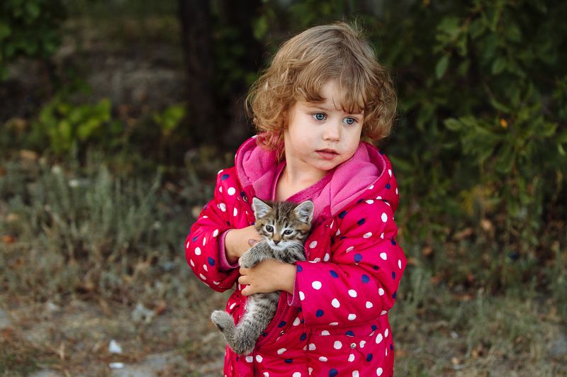 Дети и животные фото превью