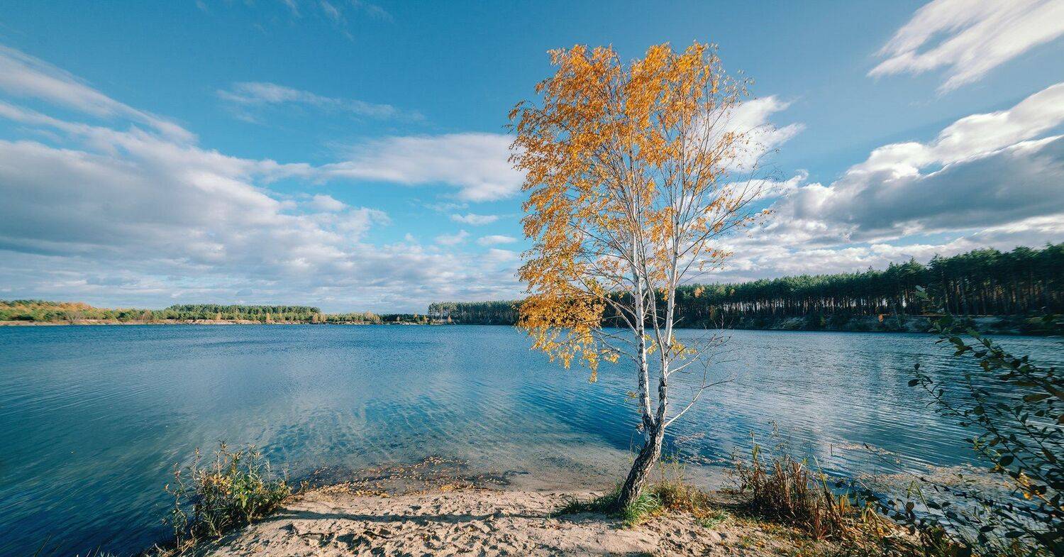 короостышев, осень, украина, Александр Чорный
