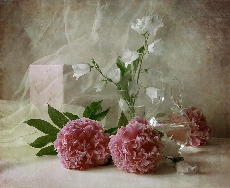 аромат пионов фото превью