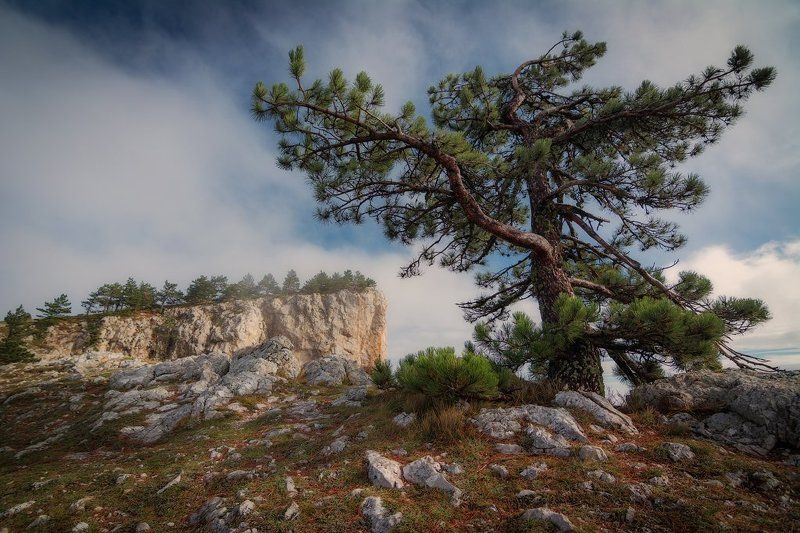 ай-петри, крым Склоны Ай-Петри фото превью