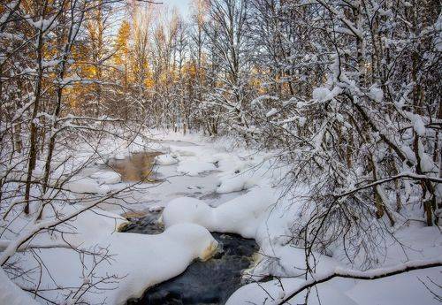 Лесной ручей в морозный день