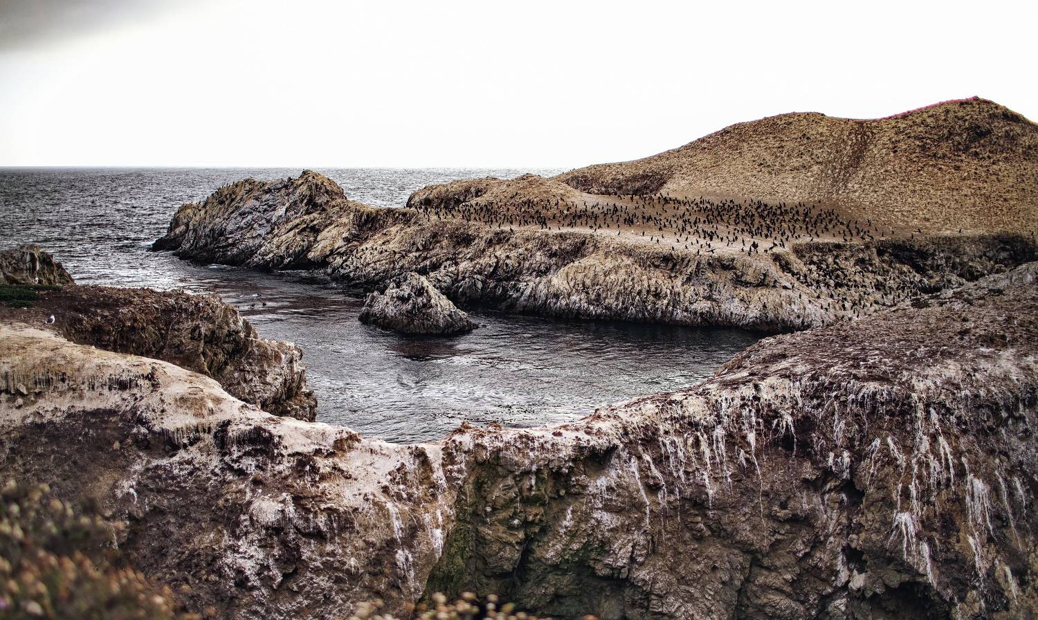 stillwater, cove, access, Lilia Tkachenko