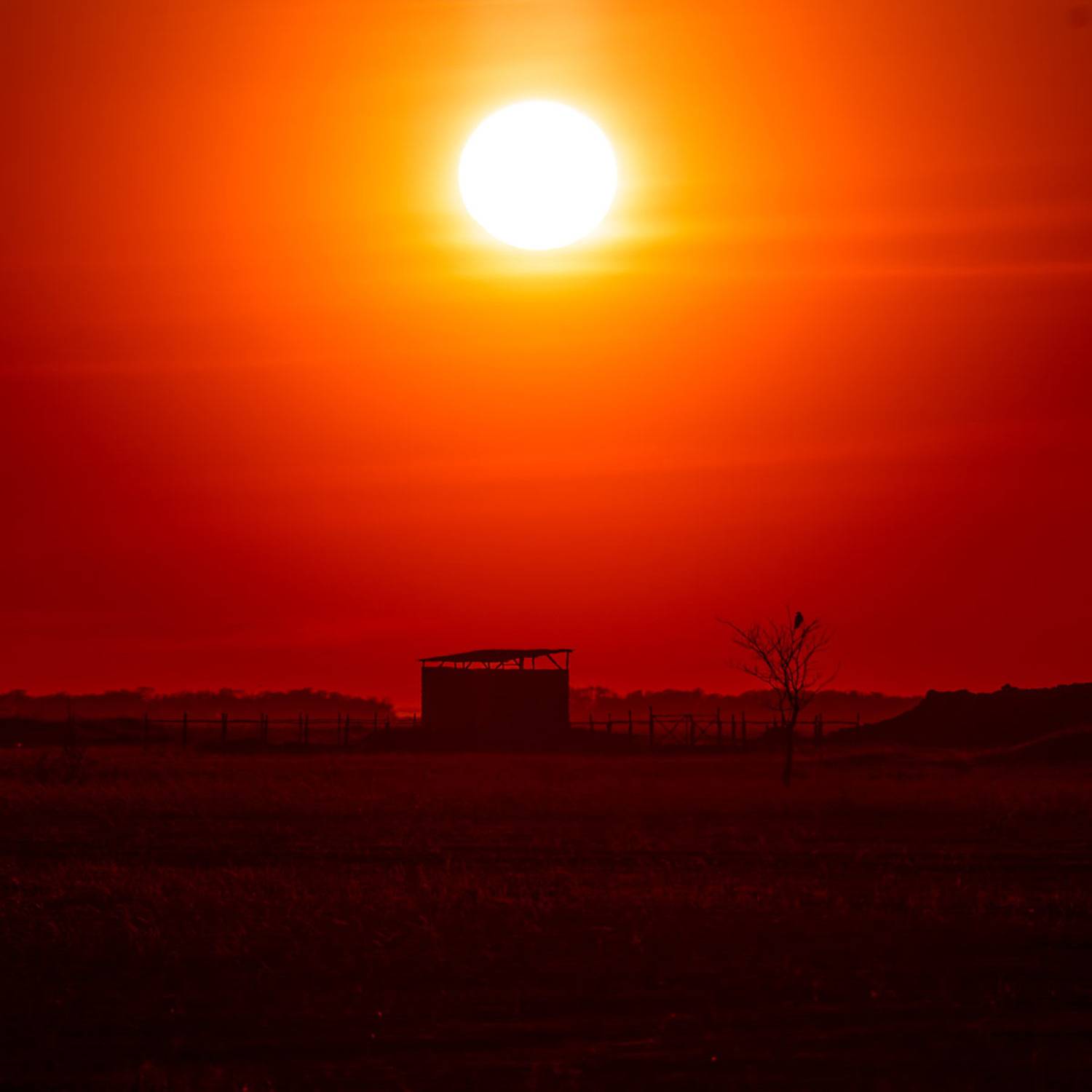 , Савенко Кирилл