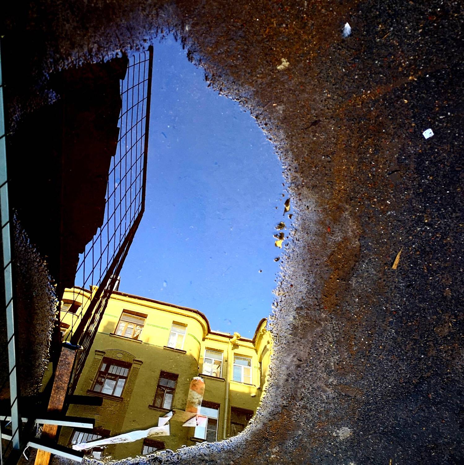 , Антон Лаба