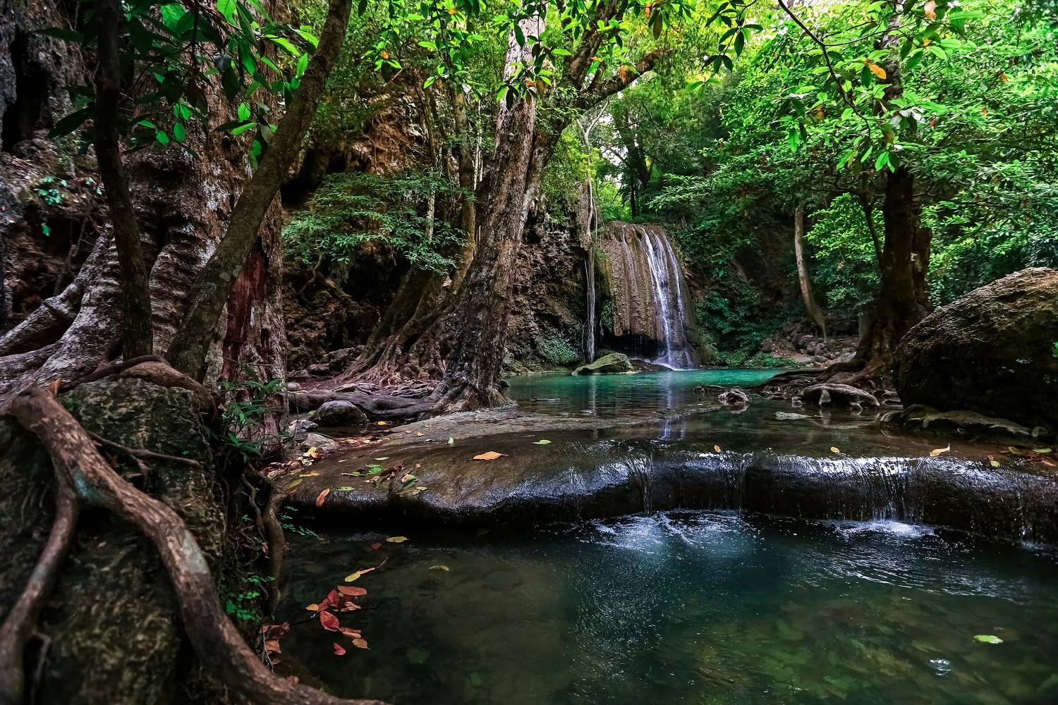 #nature #flora #водопад #plant #beautifull #природа #растения #джунгли #река #тропики, Сергей Найбич