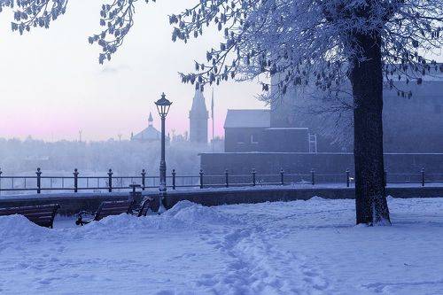 На рассвете в Нарве