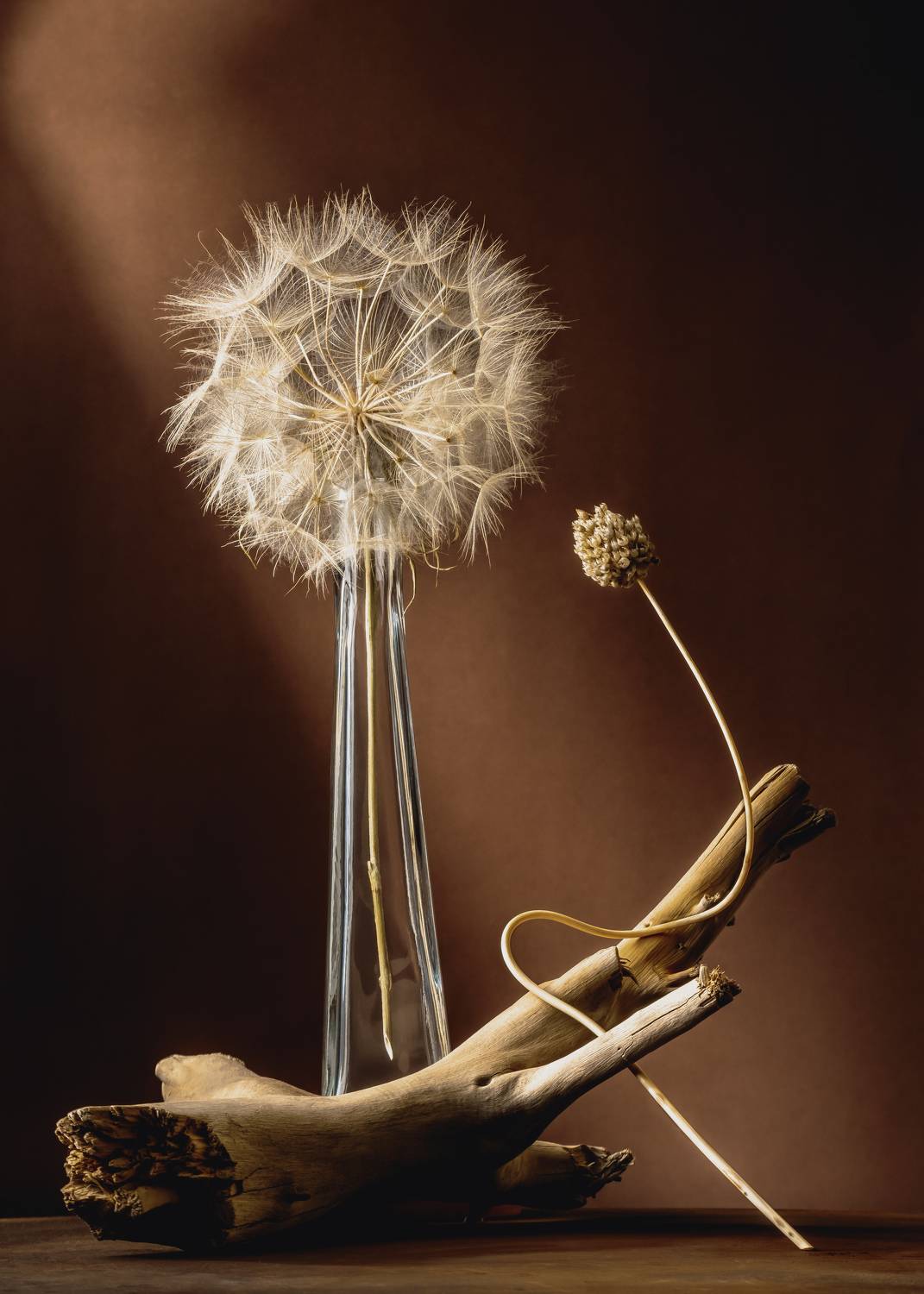 art, design, objects, light, standing, studio, still life, , Anna Ilieva-Alikaj