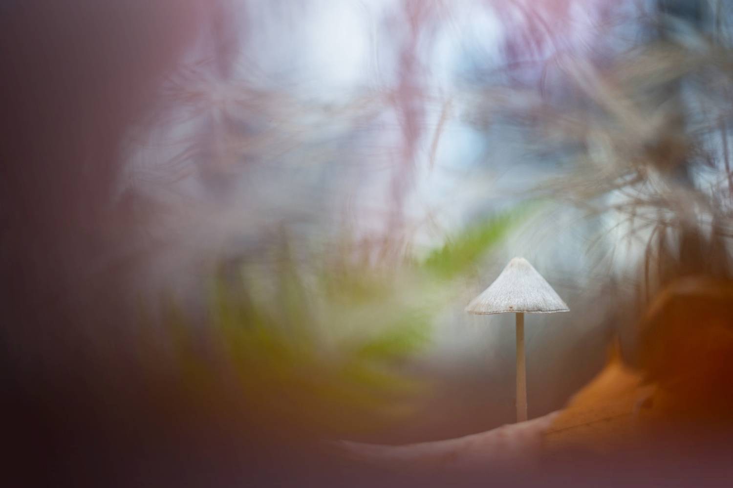 , Кузнецов Дмитрий