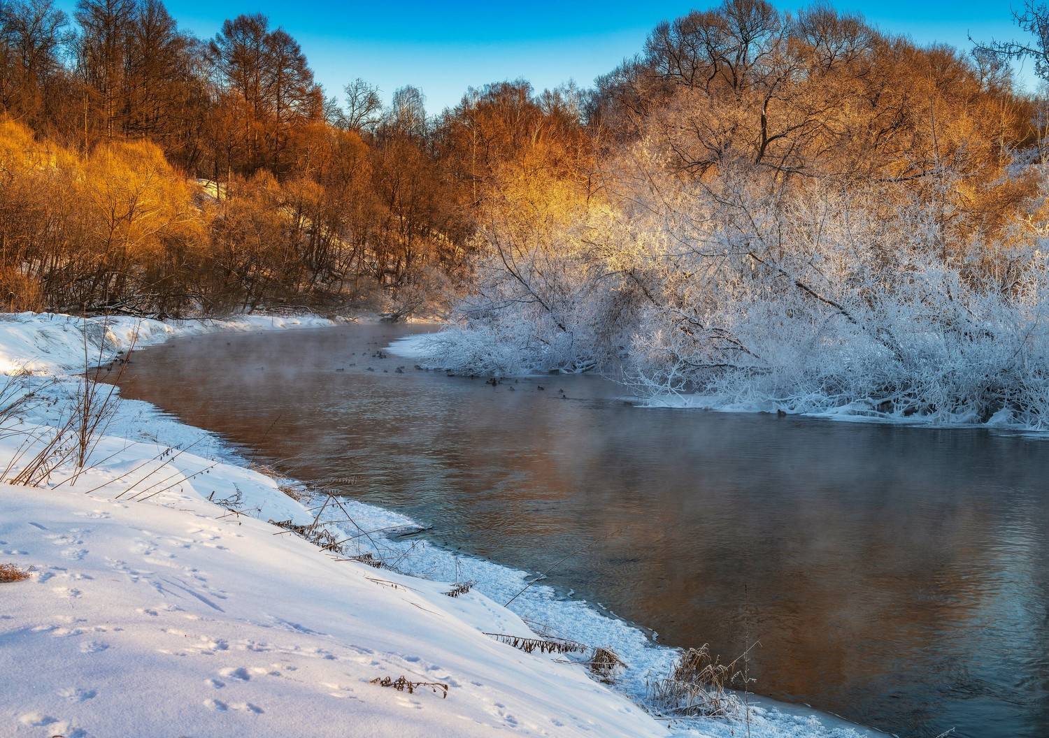, Павел Ныриков