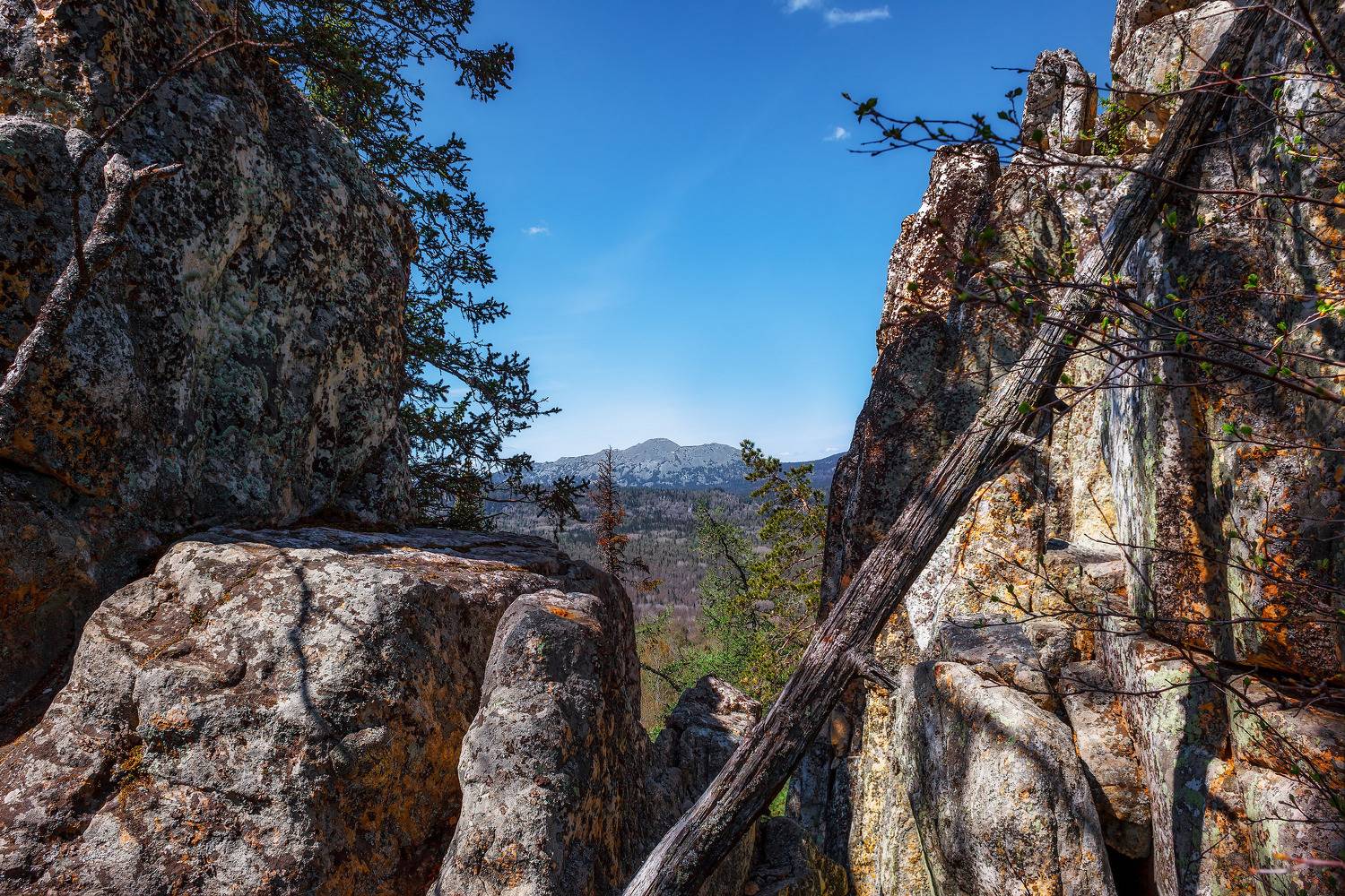 , Никитин Алексей