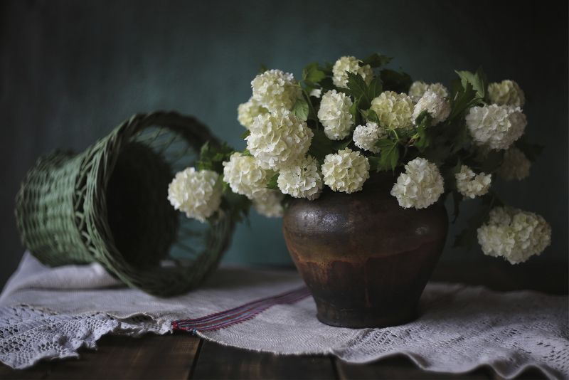 Калина букет натюрморт Stilllife canon Цветет калина фото превью