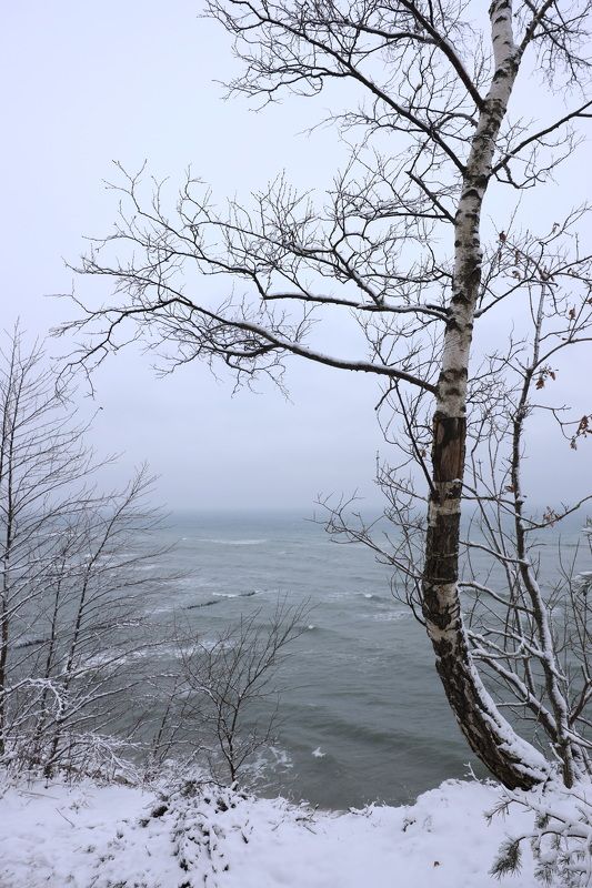 Побережье Балтики  фото превью
