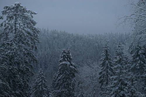 Затаились...