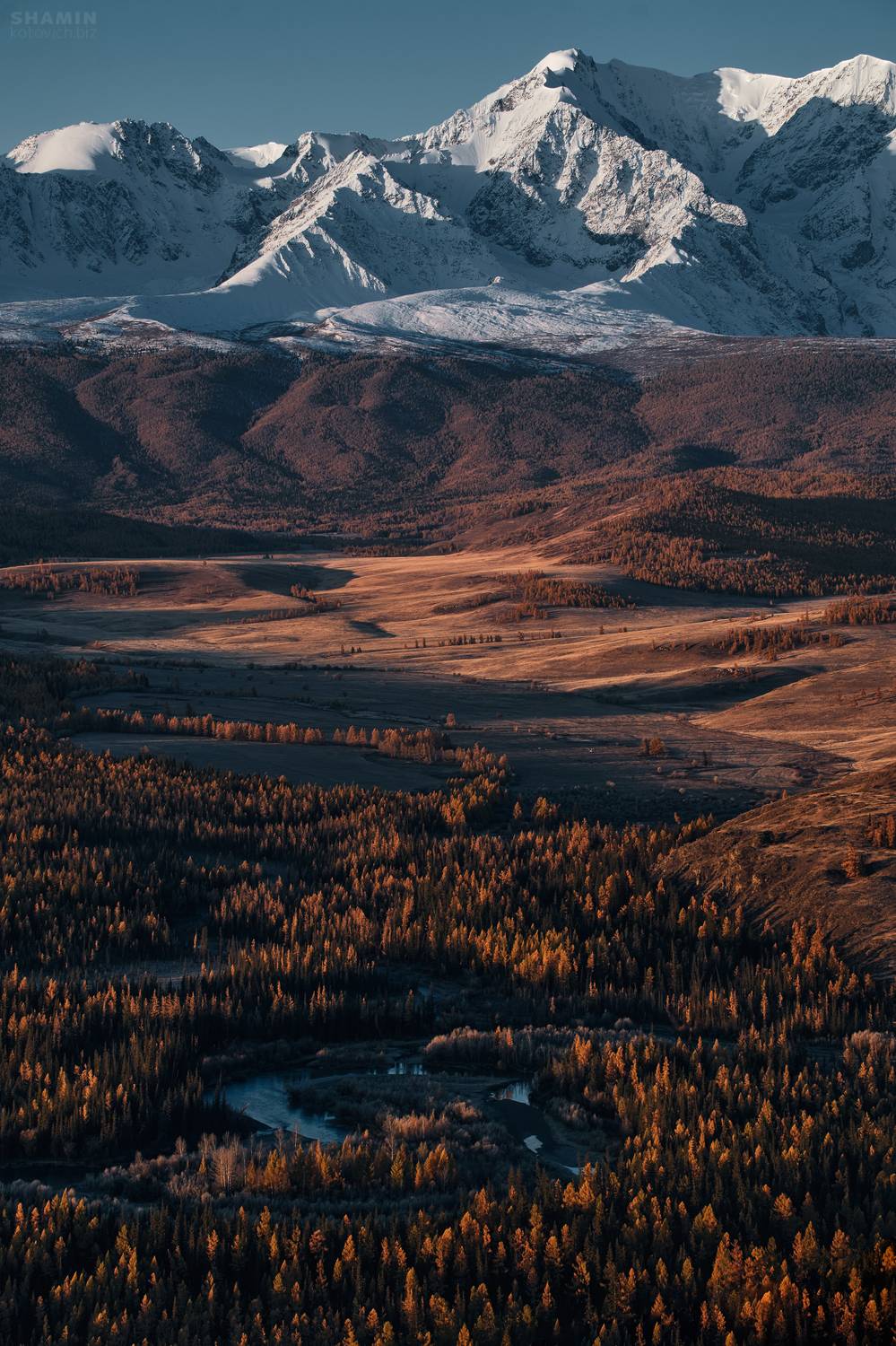 , Константин Шамин