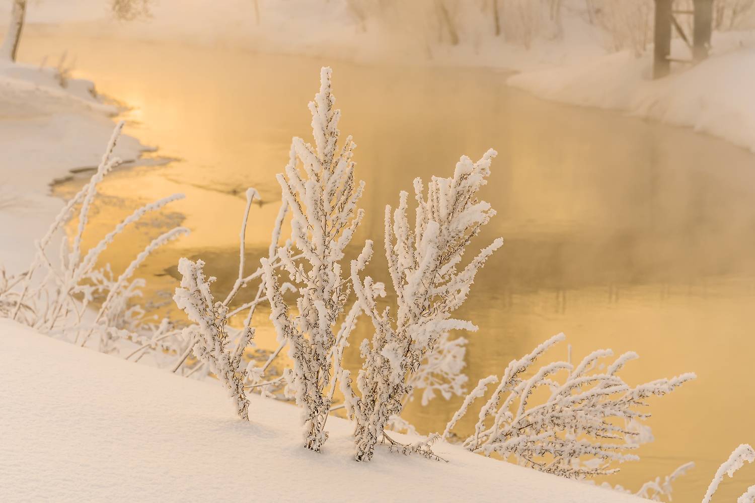 у пеки., Бирюков Вячеслав