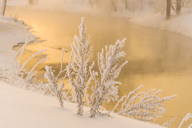 Утро туманное и морозное фото превью
