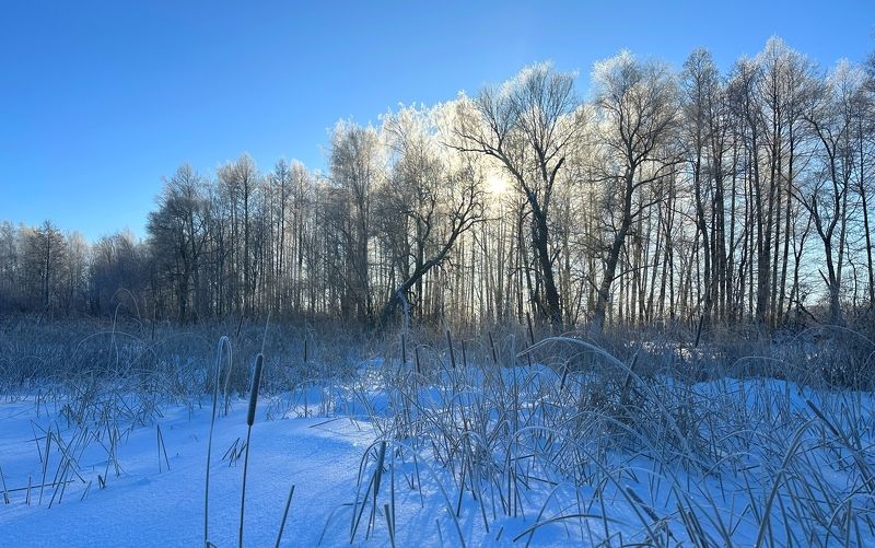 Утренний рассвет фото превью