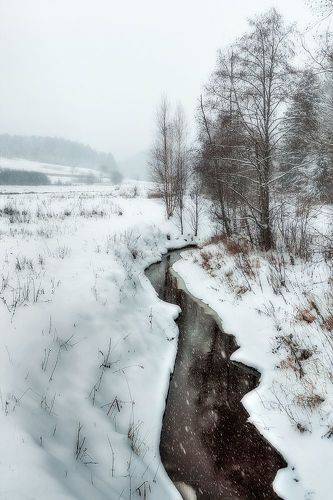 Природный парк 