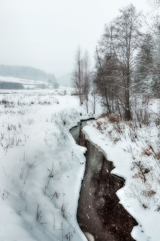 Природный парк \