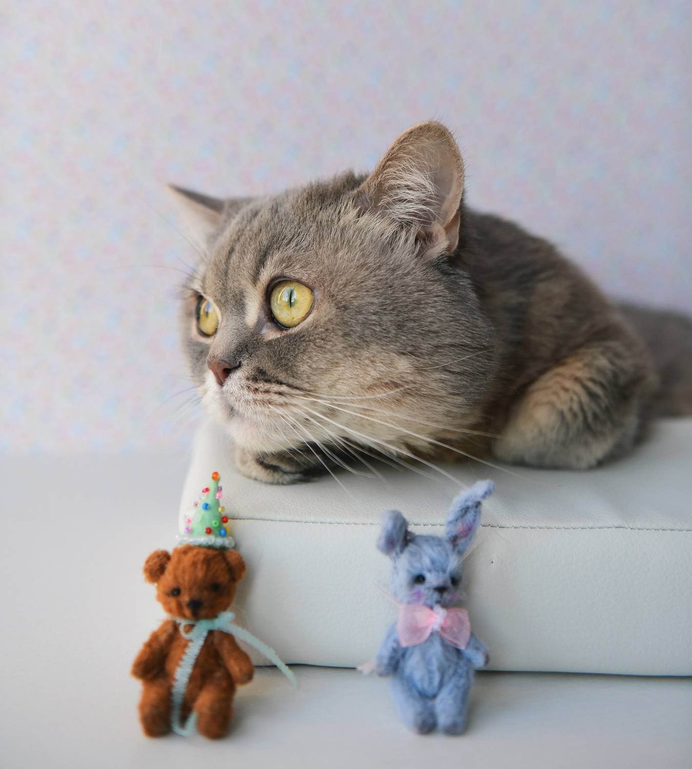 , Божена Пучко