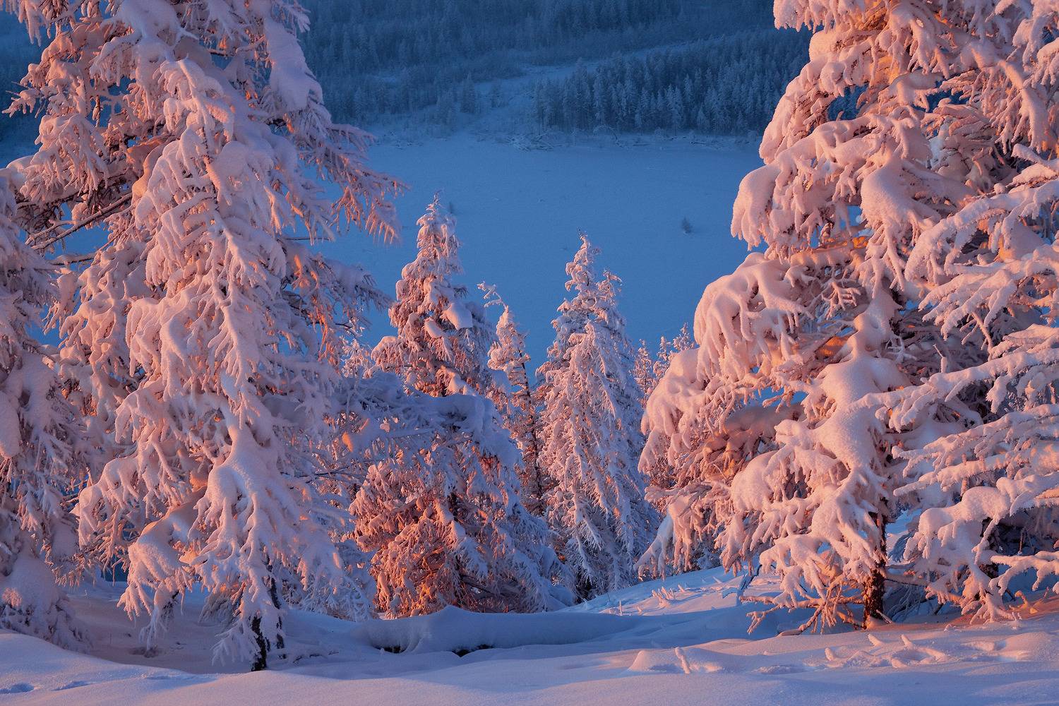 Фототуры с Владимиром Рябковым, #topnature #russpasibo #magic_shots #lovelyRussia #sunset_vision #exclusive_sky  #exclusive_shots #loves_russia2 #photoarena_nature #nature_sultans #nature_perfection #rsa_sky #rsa_sunset #photorussia #rsa_naturepics #sunse, Владимир Рябков