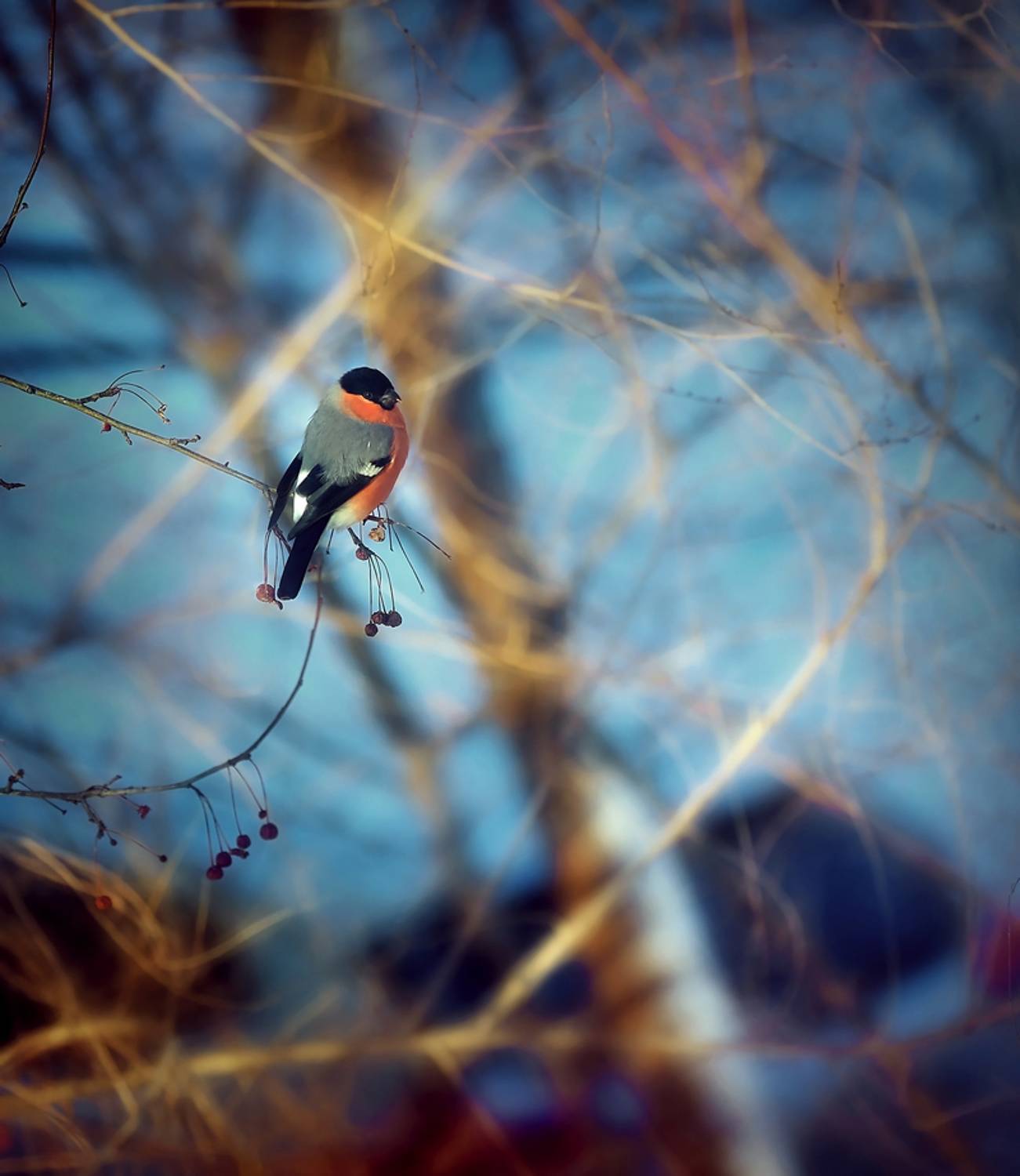 , Наталья Новикова