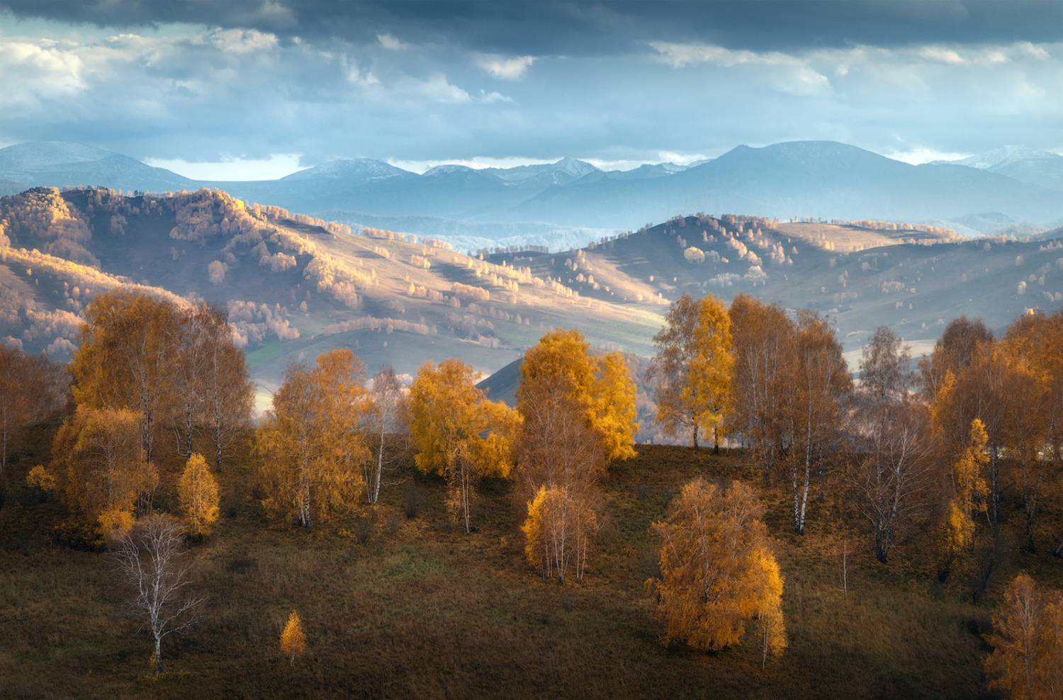 алтайский край, солонешенский район, холмогорье, предгорья, алтайское холмогорье, золотая осень, солонешье, бащелакский хребет, Рубан Алена