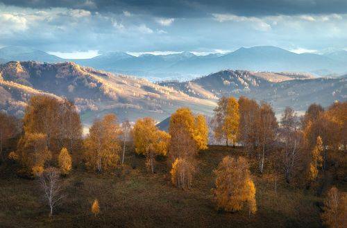 Последнее золото и синь Бащелака