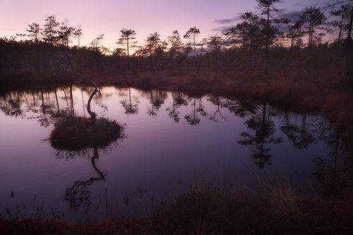 Опасная красота