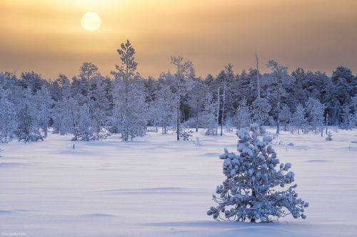 Заледеневший север