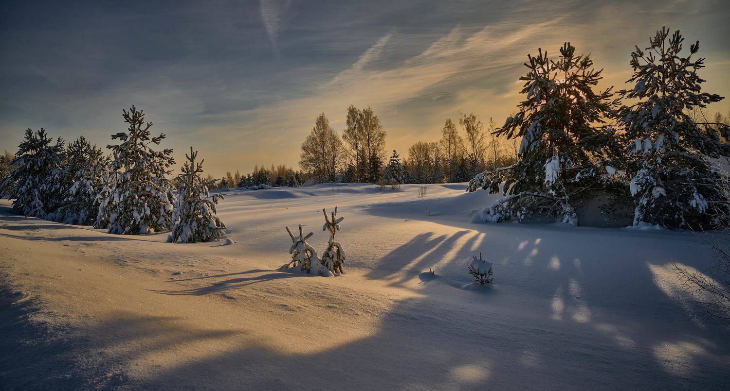 , Борис Дацковский