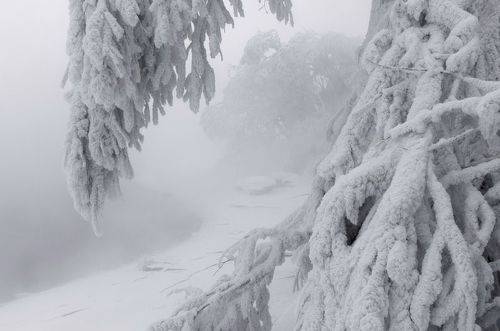 Морозный Енисей