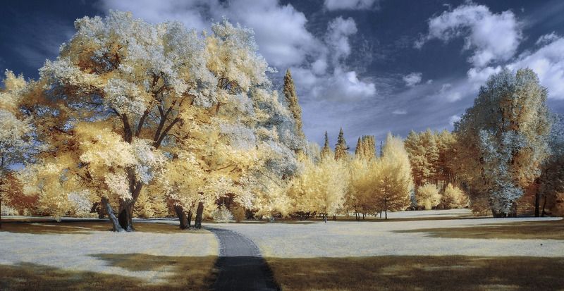 В парке. фото превью