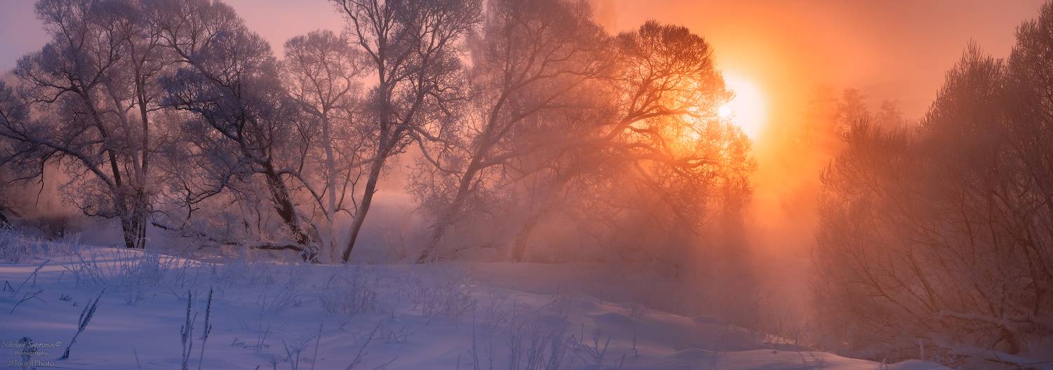истра, русская зима, подмосковье, московская область, зимнее утро, восход, солнце, зимний туман, Николай Сапронов