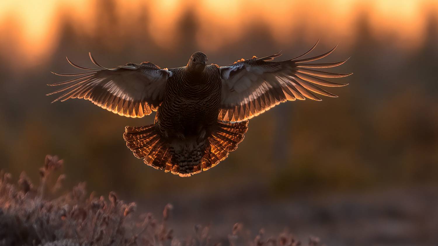 , Калинин Михаил