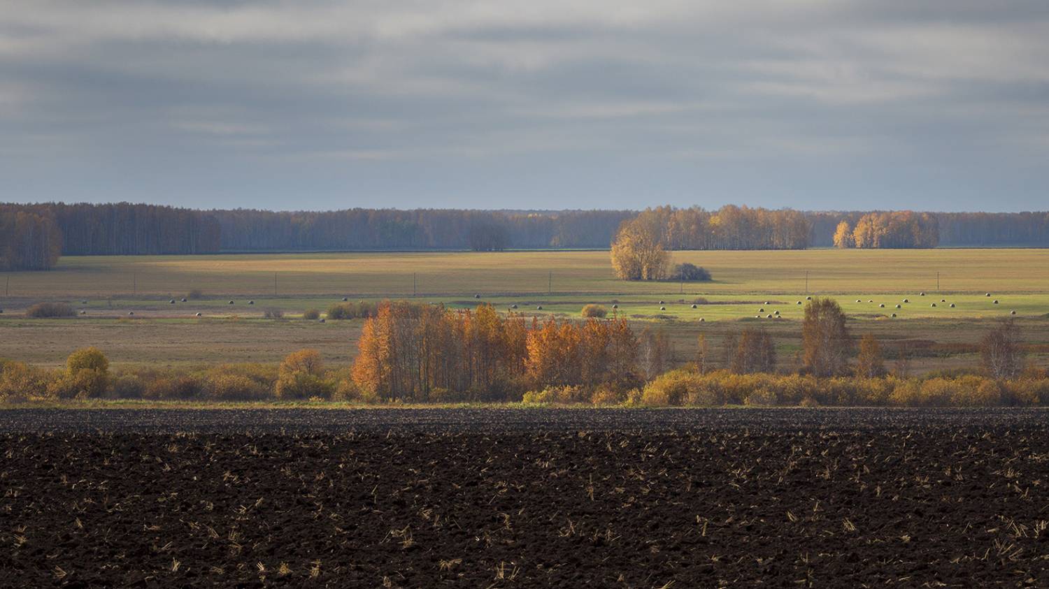 осень, пейзаж,, Сергей Шульга
