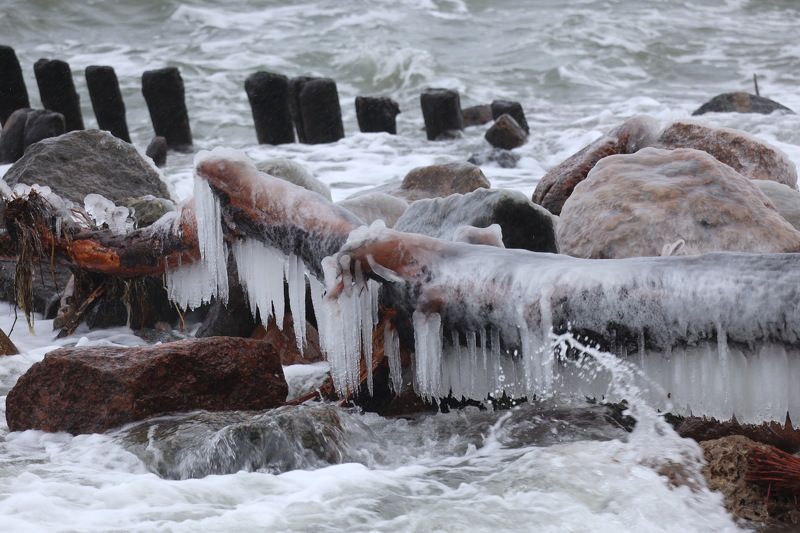 След холодного моря фото превью