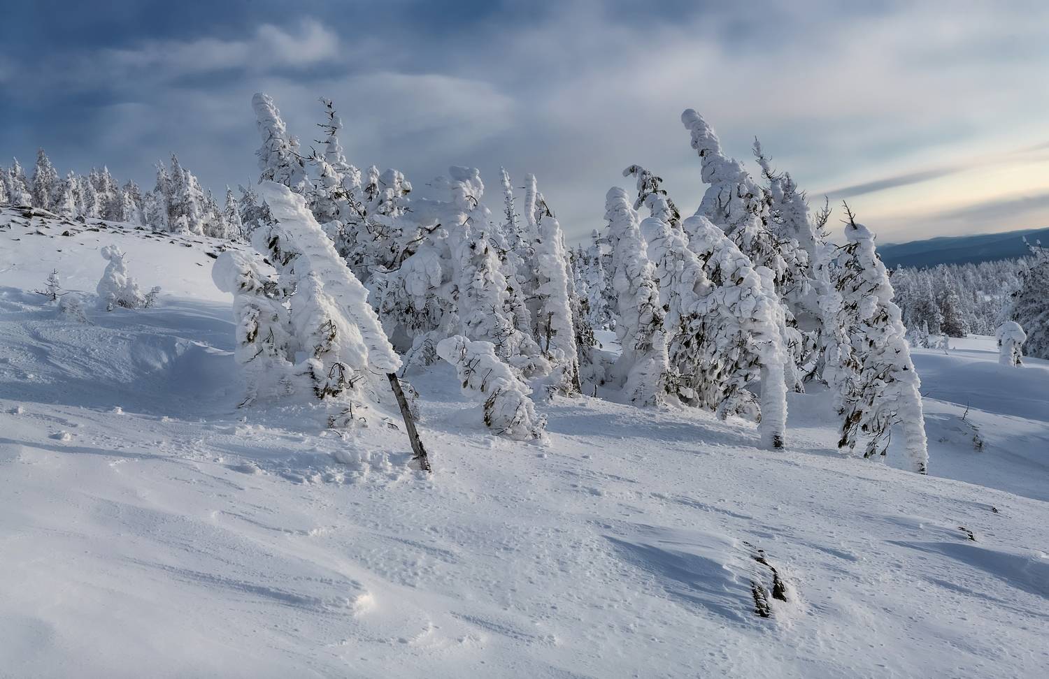 природа, сибирь, зима, склон, аргыджек, куржак, Фомина Марина