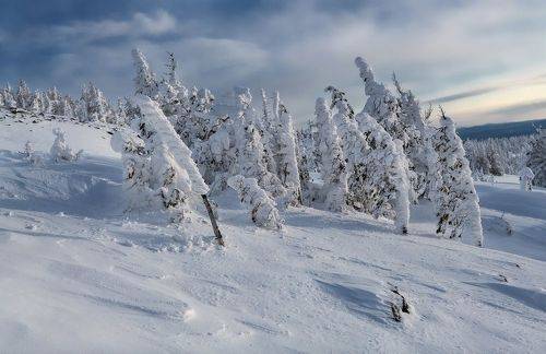 Зимний Аргыджек