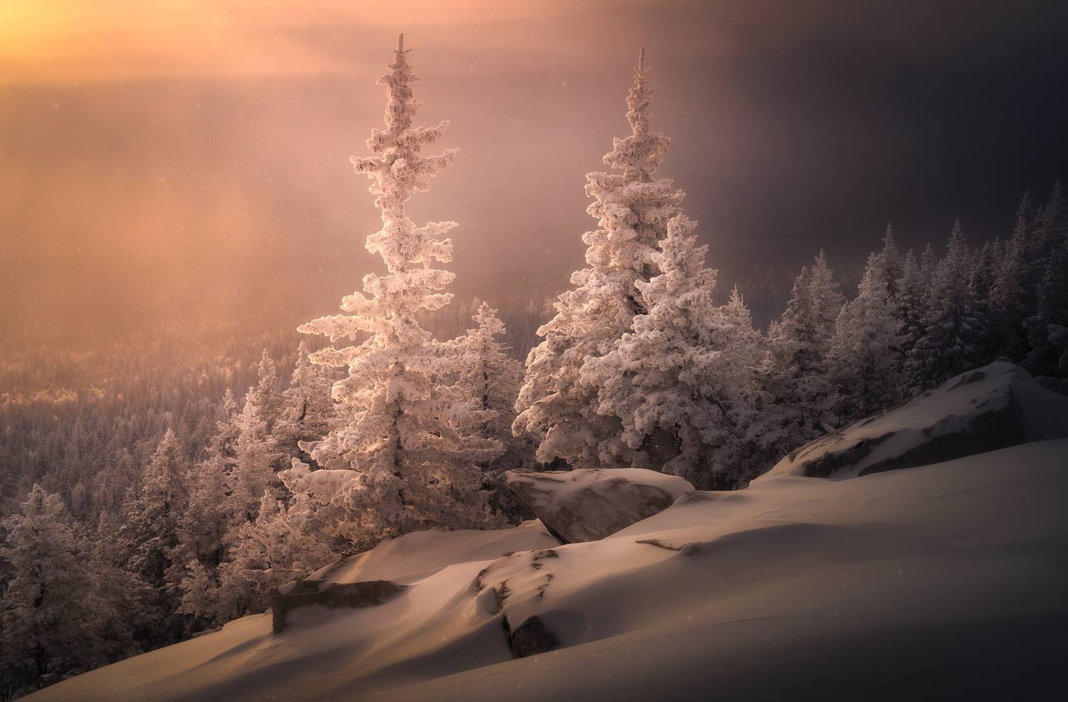 , Татьяна Бирюкова