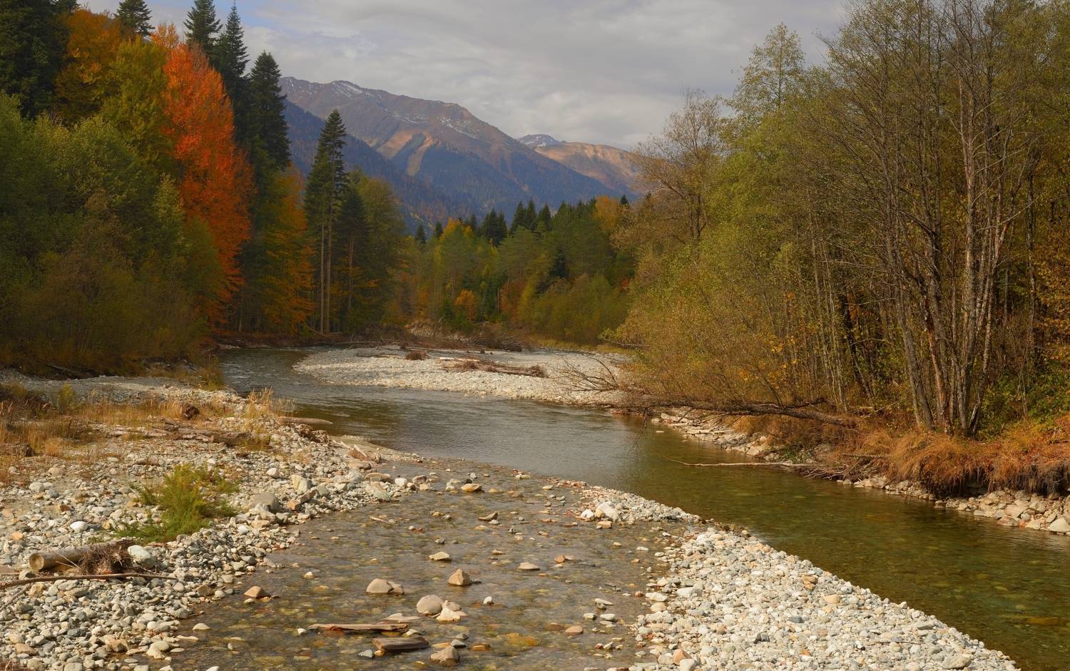 горы осень кавказ река, Александр Жарников