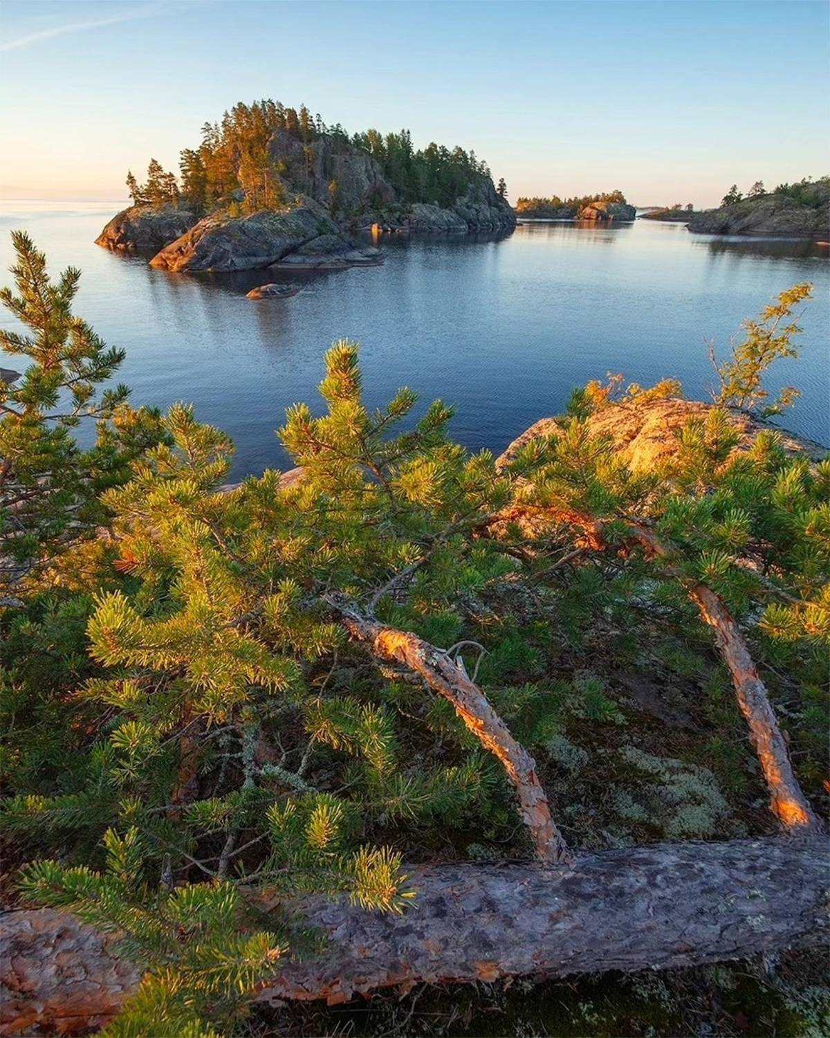 , Петр Косых