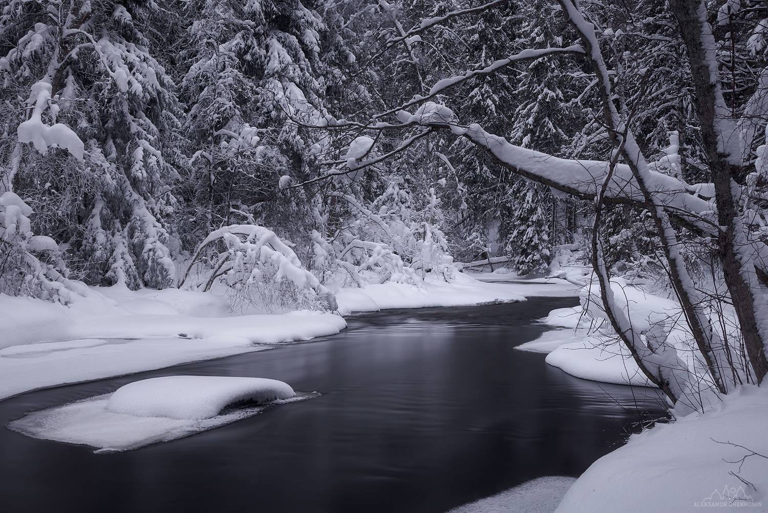 , Чехонин Александр
