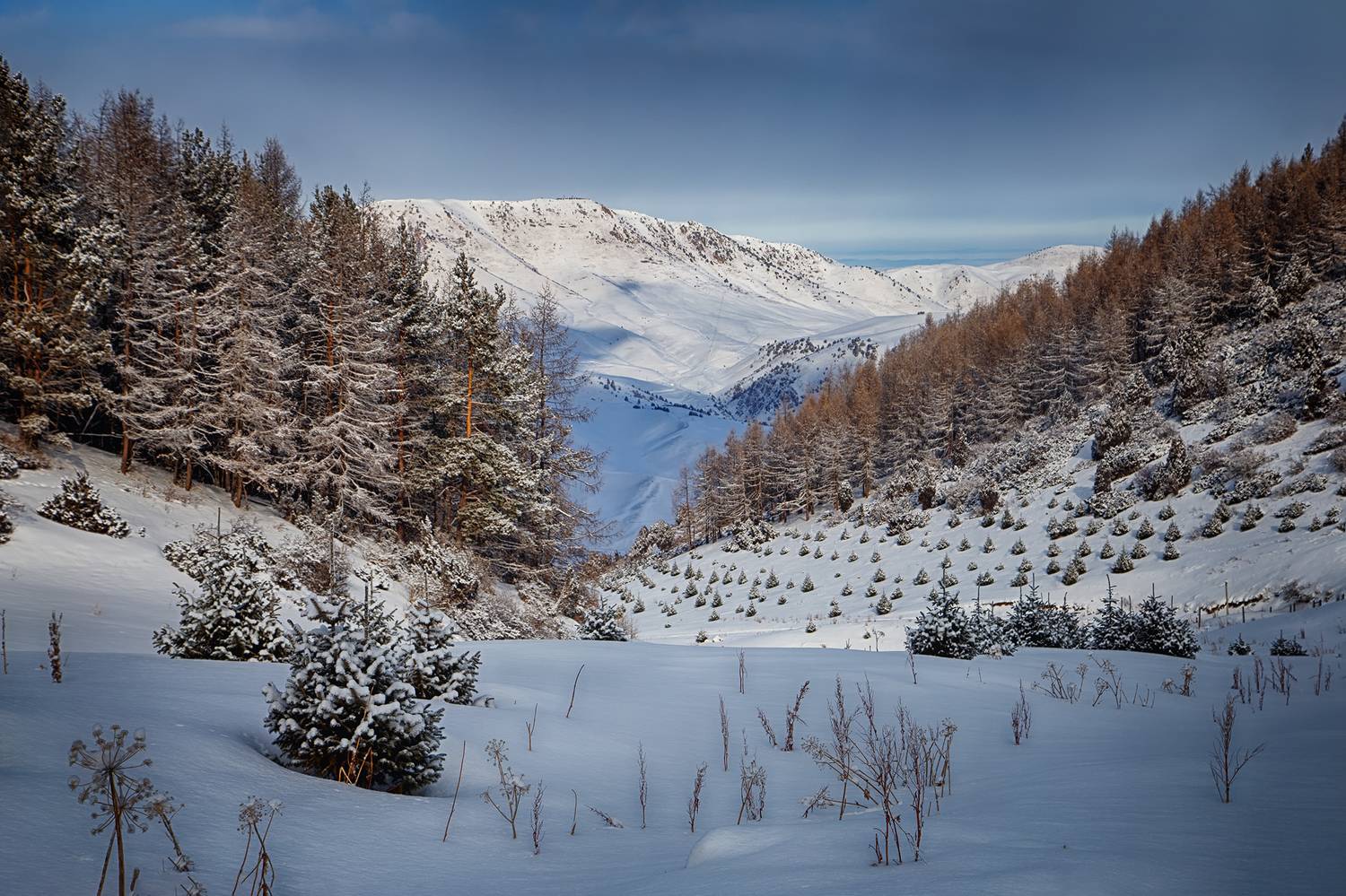 кыргызстан, ущелье чункурчак, Элина Магалимова